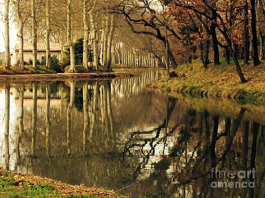 Tree Photograph - Canal Reflections by France  Art