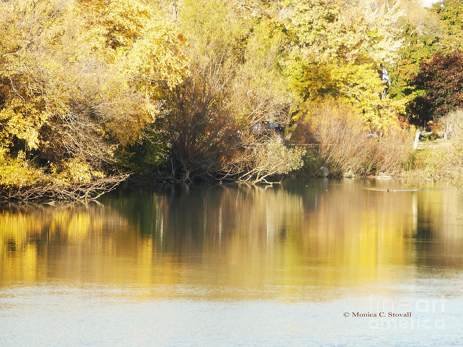 Canal Shoreline Fall Foliage - M Landscapes Fall Colection No. LF24  Photograph by Monica C Stovall