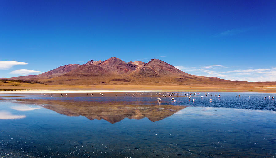 Canapa Lagoon In Salar De Uyuni Photograph by Graham Lucas Commons Canapa Lagoon In Salar De Uyuni Photograph by Graham Lucas Commons