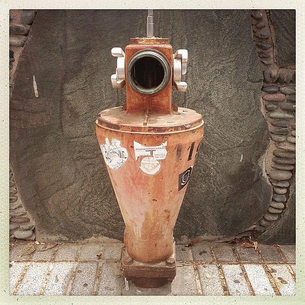 Vintage Photograph - Canarian Hydrant #canaries #grancanaria by Luis Aviles
