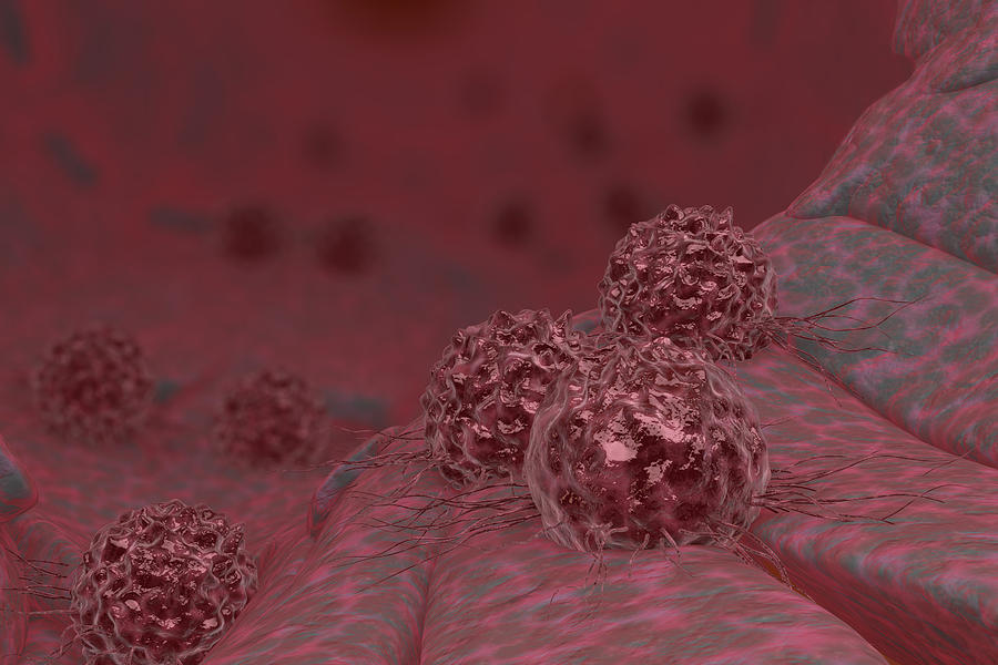 Cancer Cells, Illustration Photograph by Ella Marus Studio