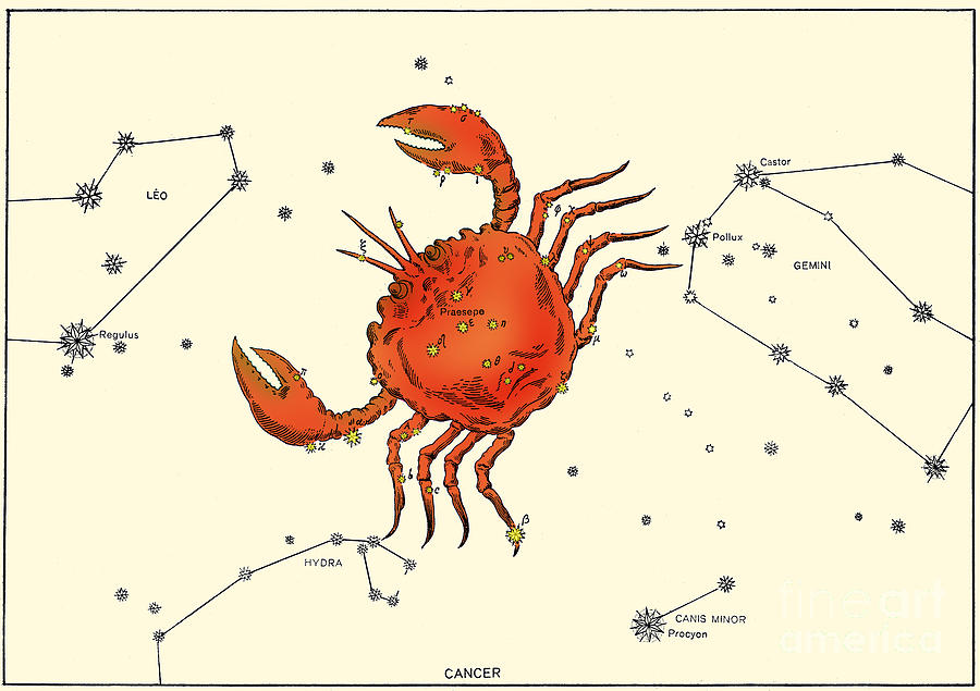 Sign Photograph - Cancer Constellation, 1603 by Science Source
