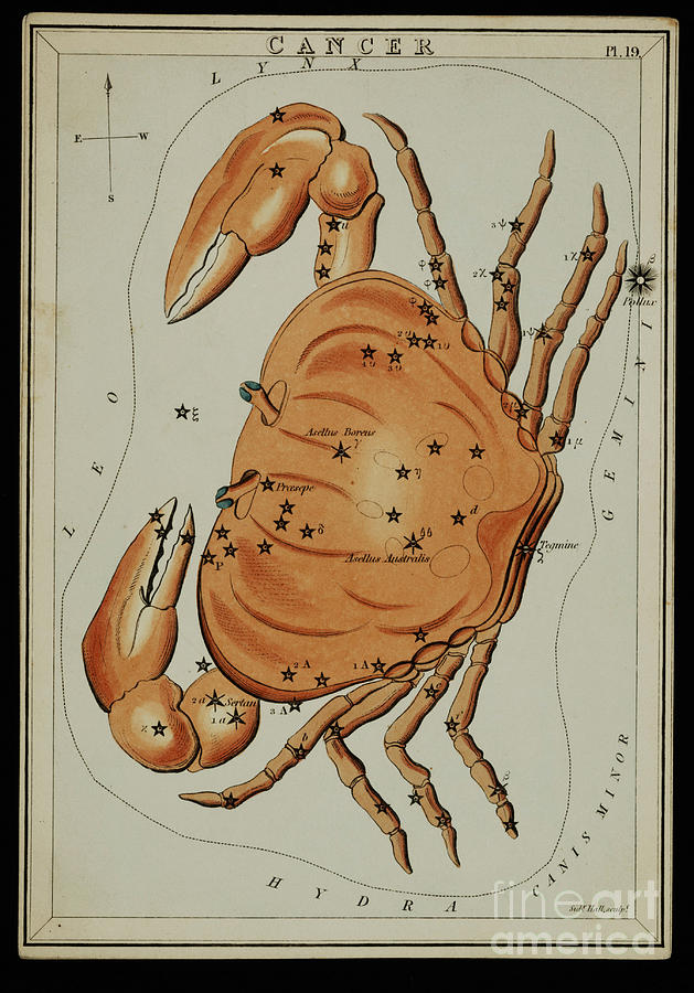 Sign Photograph - Cancer Constellation Zodiac Sign 1825 by Science Source