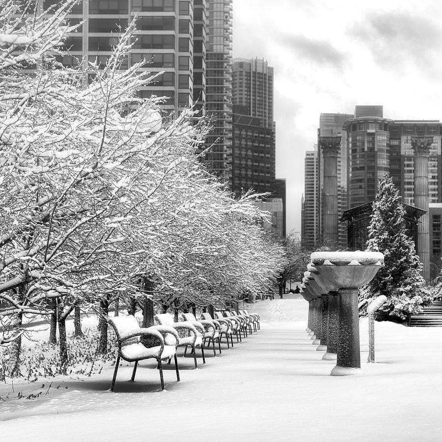 Cancer Survivors Garden - Chicago - Downtown Photograph by Photography  By Sai
