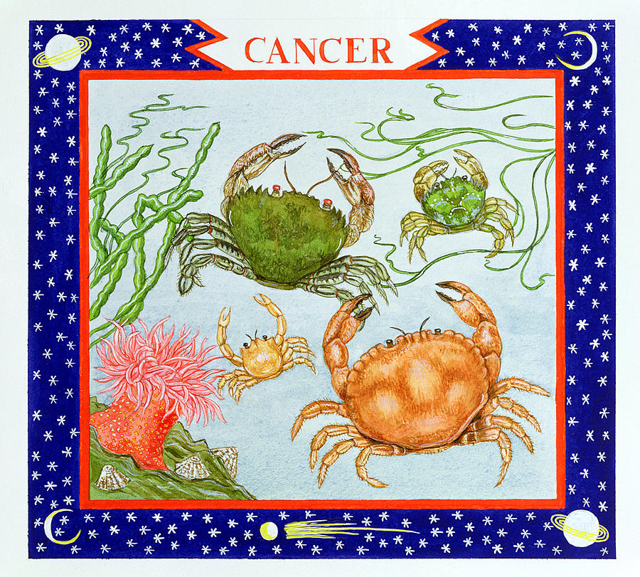 Cancer Wc On Paper Photograph by Catherine Bradbury