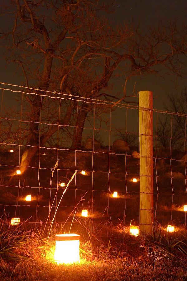 Candle at Wire Fence 2 - 12 Photograph by Judi Quelland