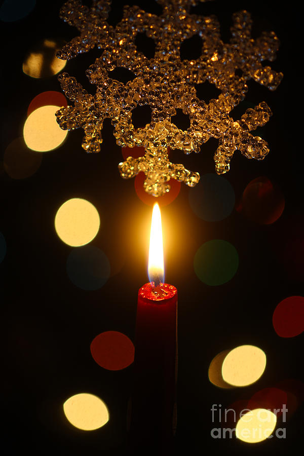 Champagne and gold streamers Photograph by Rosemary Calvert - Fine Art  America