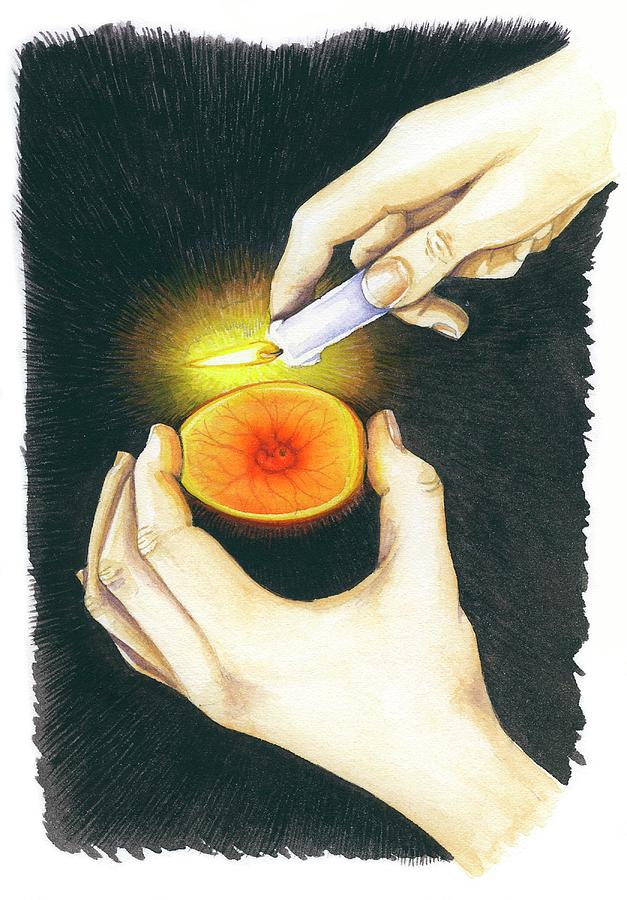 Candling An Egg Photograph by Lizzie Harper/science Photo Library ...