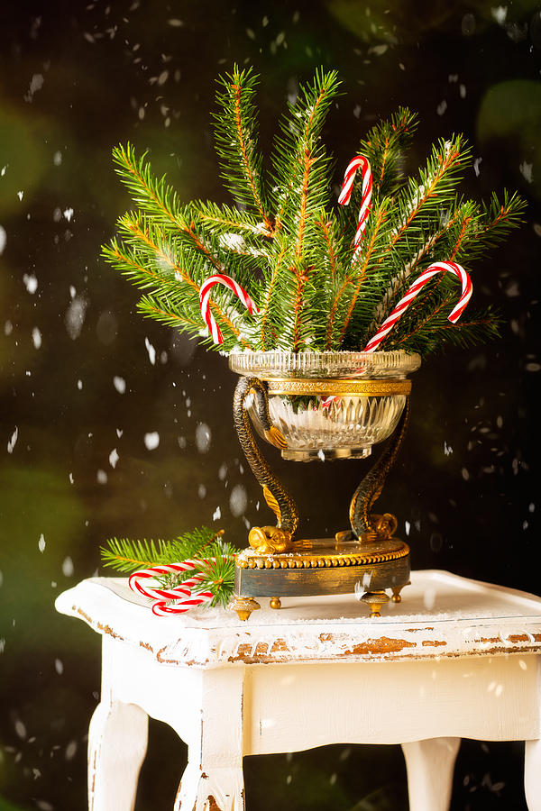 Christmas Photograph - Candy Cane Decoration by Amanda Elwell