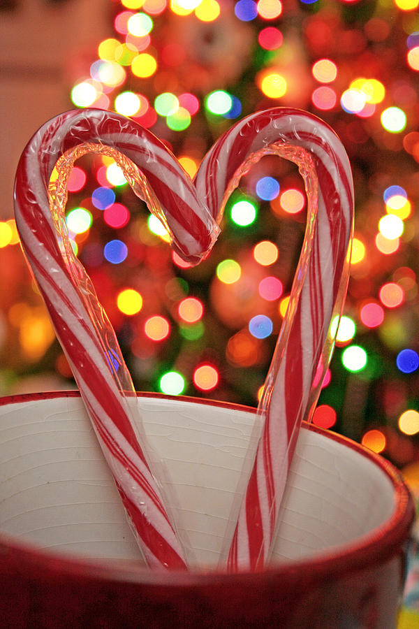 Candy Cane Heart Photograph by Barbara West