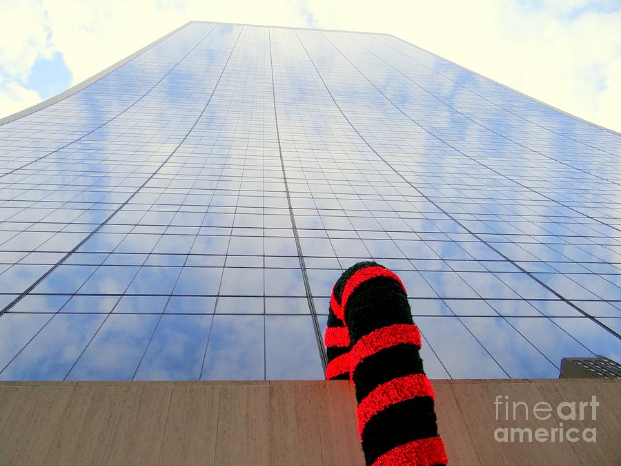 Candy Cane Reflections Photograph by Ed Weidman