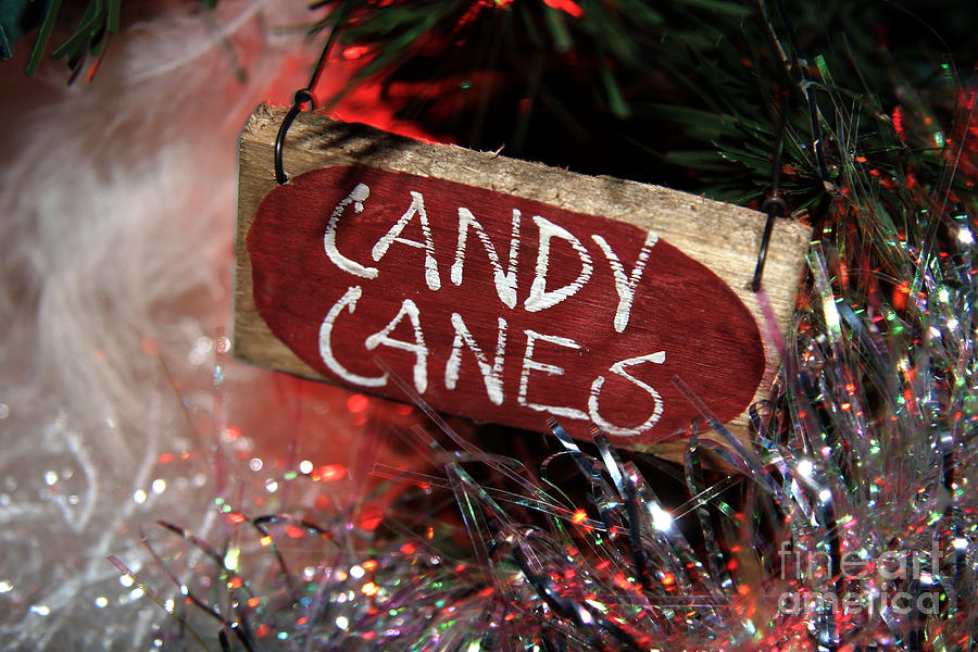 Candy Canes Photograph by Brenda Giasson