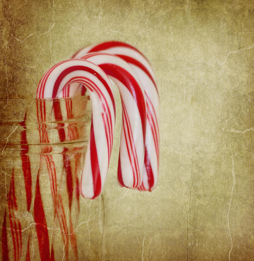 Candy Photograph - Candy Canes by Kim Hojnacki