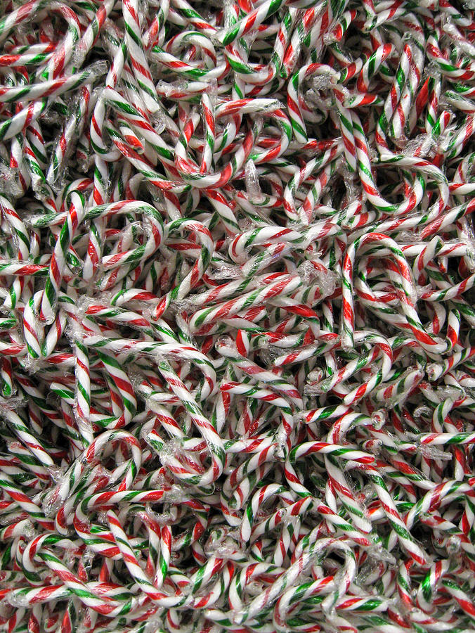 Candy Canes Photograph by Rob Huntley