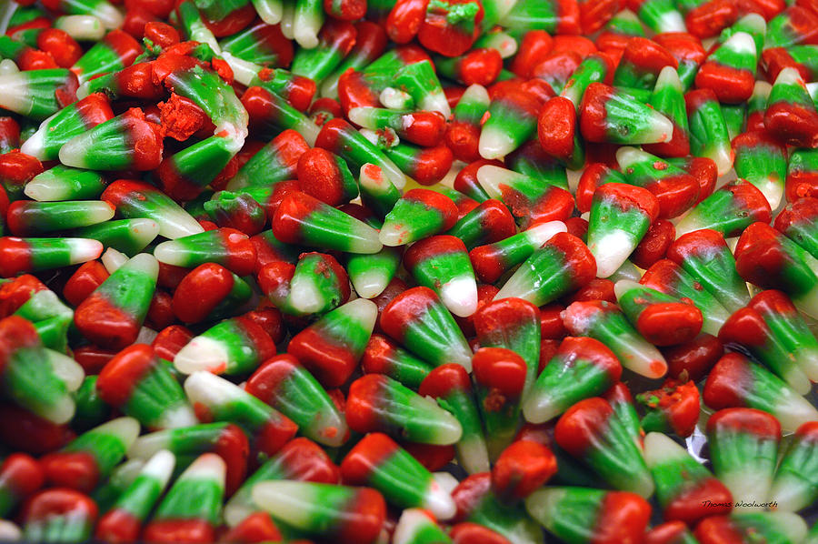 Candy Corn Xmas Colors Photograph by Thomas Woolworth