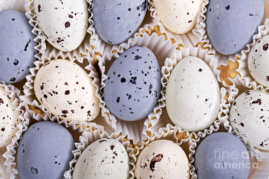Candy eggs Photograph by Jane Rix