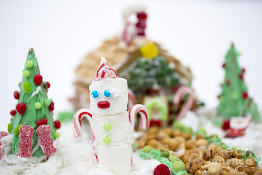 Christmas Photograph - Candy Land by Edward Fielding