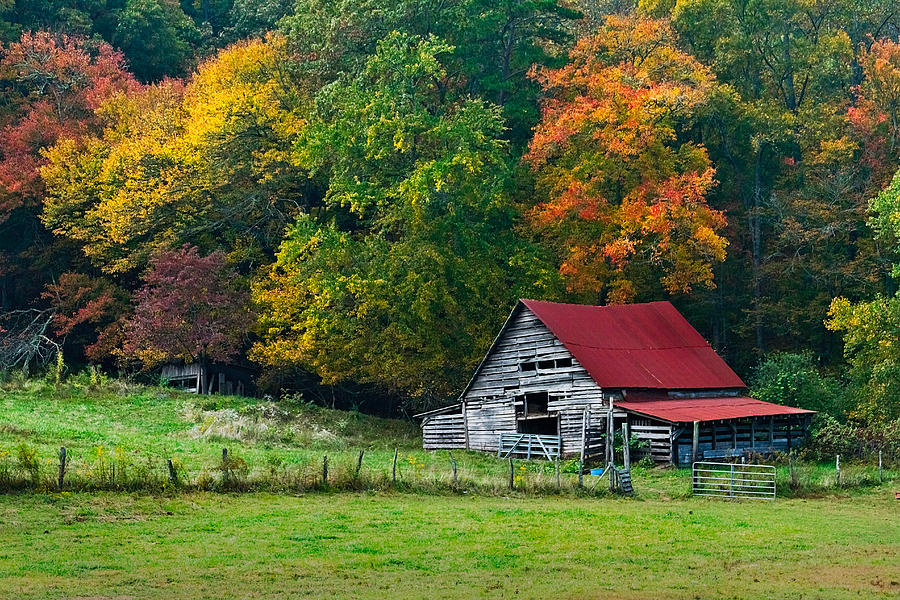 Candy Photograph - Candy Mountain by Debra and Dave Vanderlaan