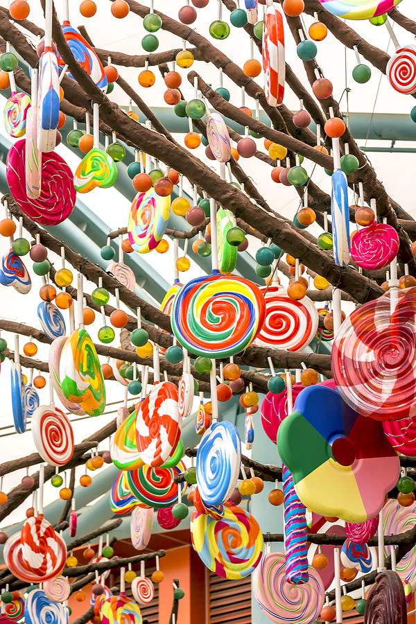 Candy Tree Photograph by Jijo George - Fine Art America