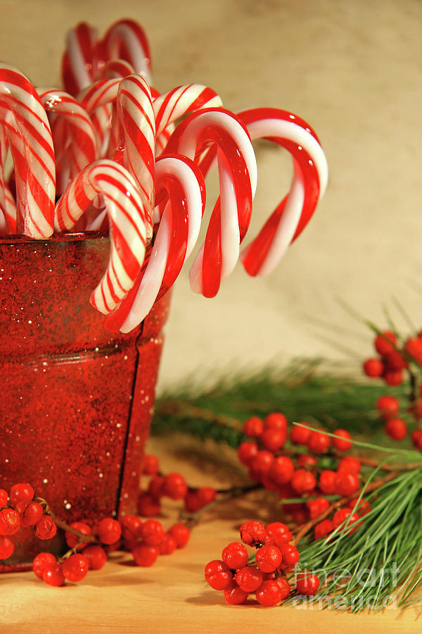 Candycanes with berries and pine Photograph by Sandra Cunningham