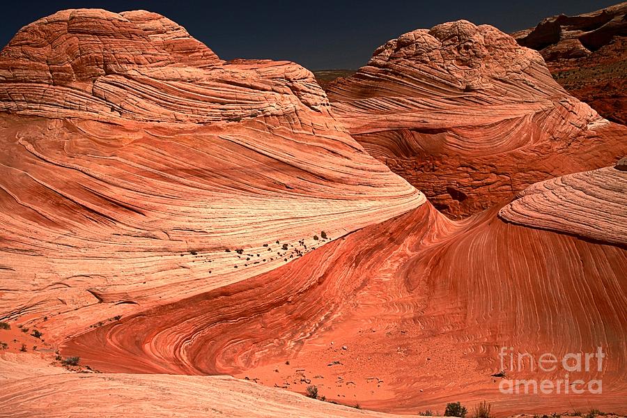 Coyote Buttes Photograph - Candyland Canyons by Adam Jewell