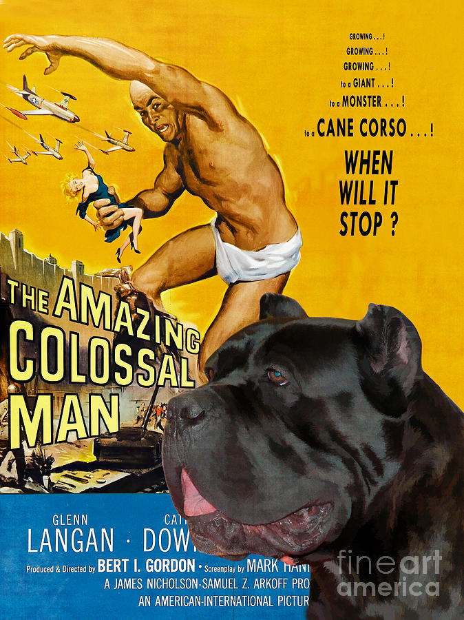 Cane Corso Art Canvas Print - The Amazing Colossal Man Movie Poster Painting by Sandra Sij