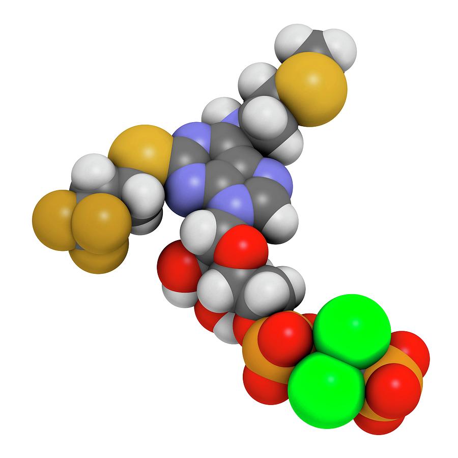 Cangrelor Antiplatelet Drug Molecule Photograph by Molekuul - Pixels