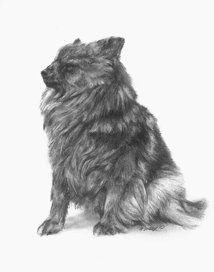 Canine Study  Drawing by Meagan  Visser
