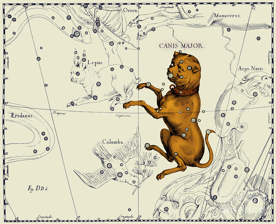Science Photograph - Canis Major Constellation, 1687 by Science Source