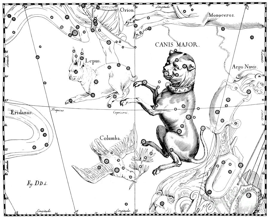 Science Photograph - Canis Major Constellation, Hevelius by Science Source