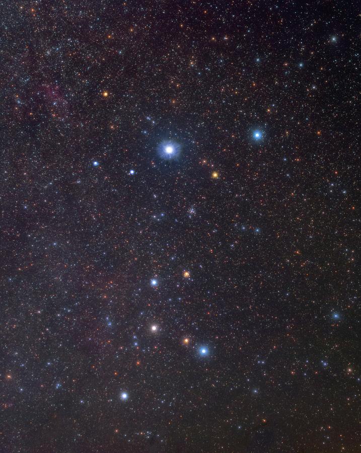 Canis Major Constellation Photograph by Tony & Daphne Hallas/science Photo Library