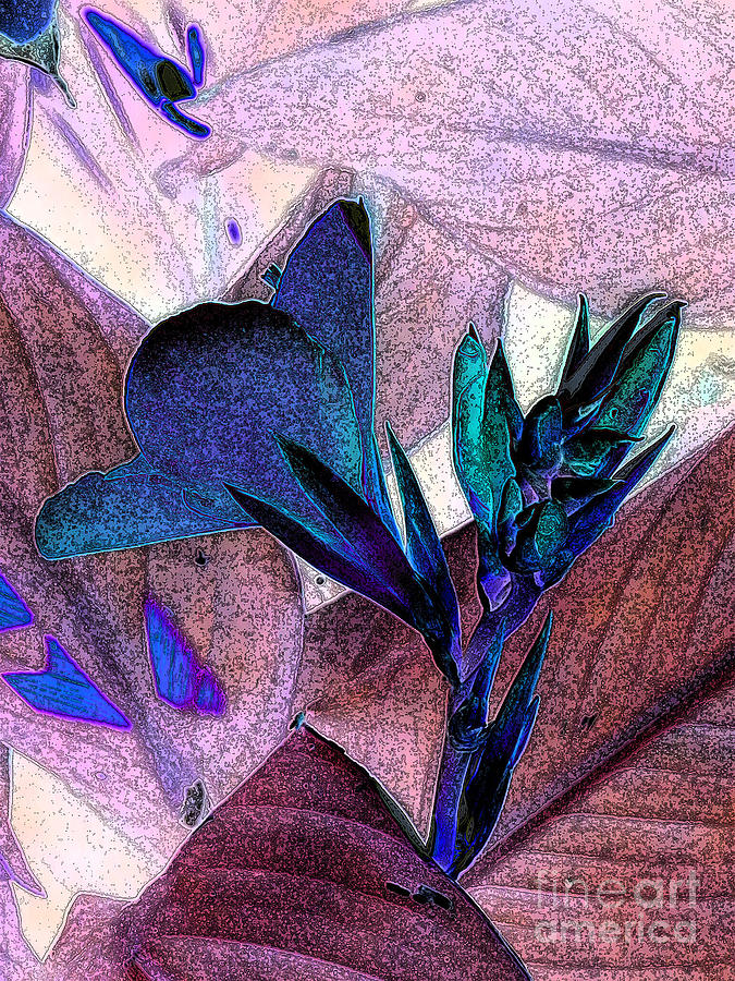 Abstract Photograph - Canna 2 by Diane DiMarco