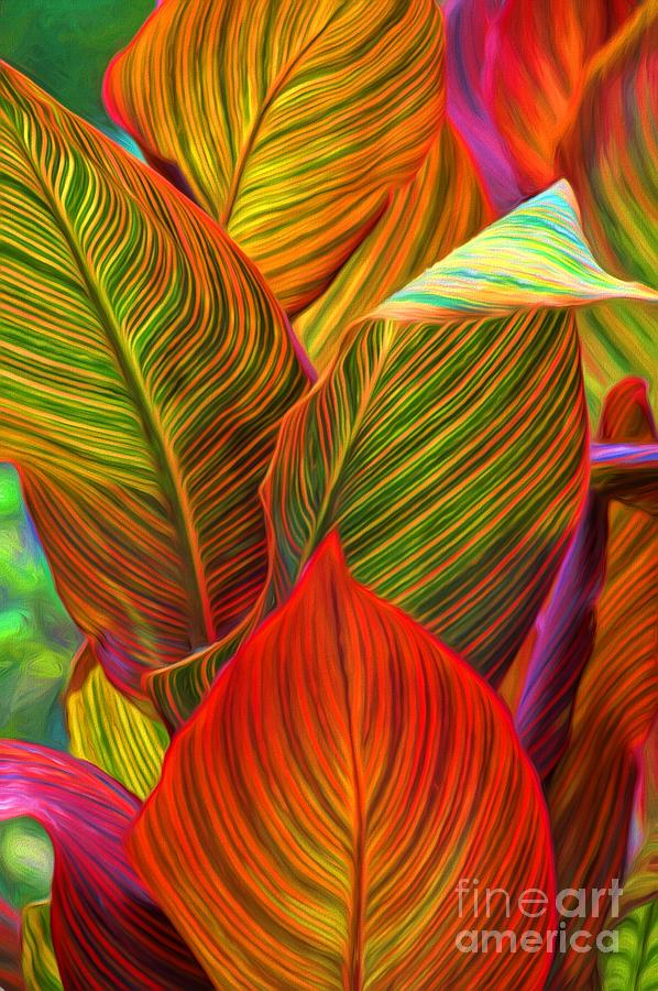 Canna Leaves Photograph by Peggy Hughes