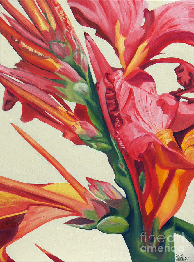 Canna Lily Painting by Annette M Stevenson