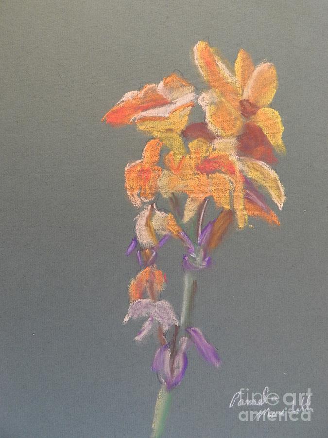 Canna Painting - Canna by Pamela  Meredith