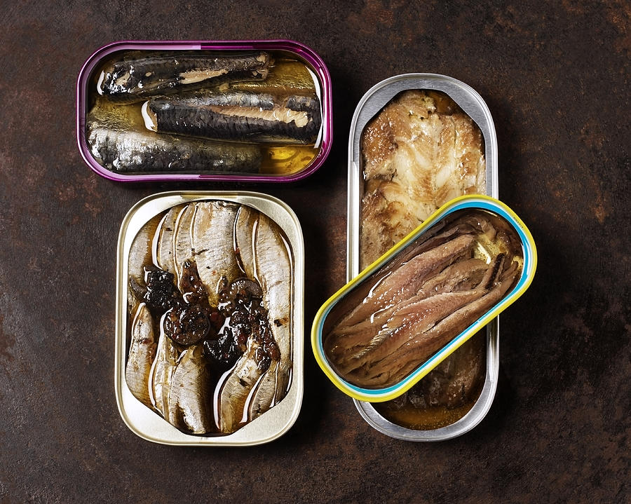 Canned fish Photograph by Claudia Totir