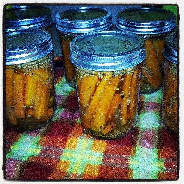 Jar Photograph - Canned Pickled Carrots by Denette Jacobson