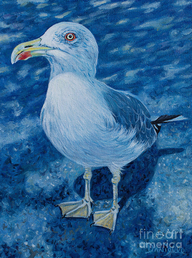 Seagull Painting - Cannes Seagull by Danielle Perry