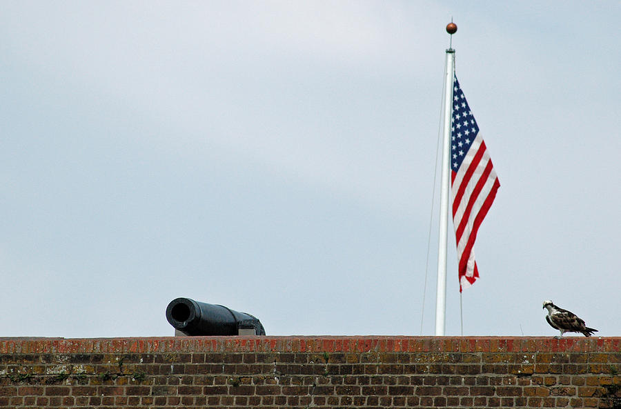 Cannon and American Flag and Hawk at Fort Pulaski National Monument Photograph by Bruce Gourley