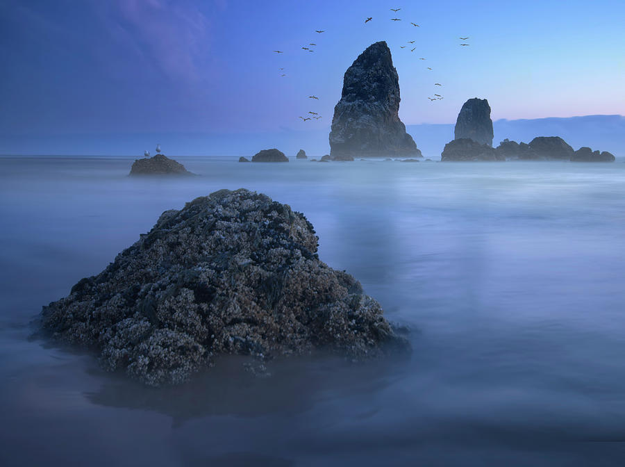 Cannon Beach At Blue Hour Photograph by Jimmy Mcintyre