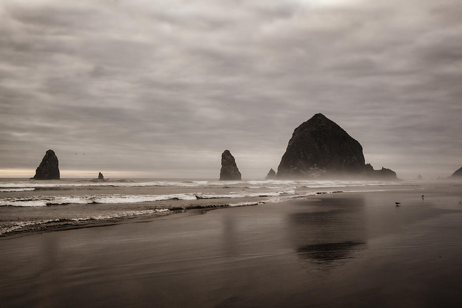 Cannon Beach Needles Photograph by Monte Arnold