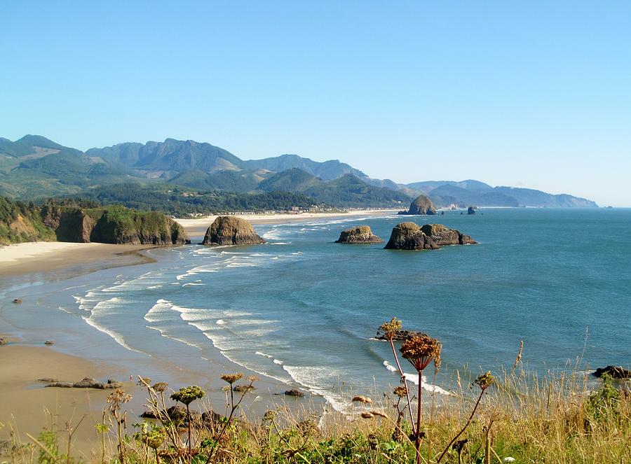 Cannon Beach Photograph by Steve Burton - Fine Art America