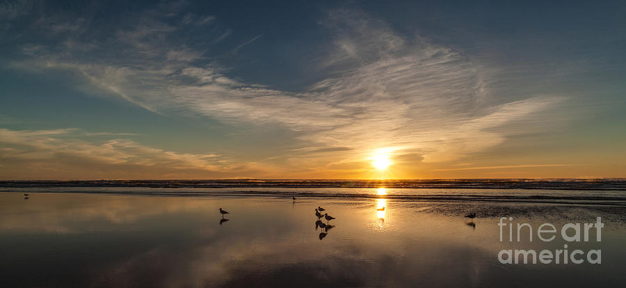 Cannon Beach Photograph - Cannon Beach Sunset Tidal Flats by Mike Reid
