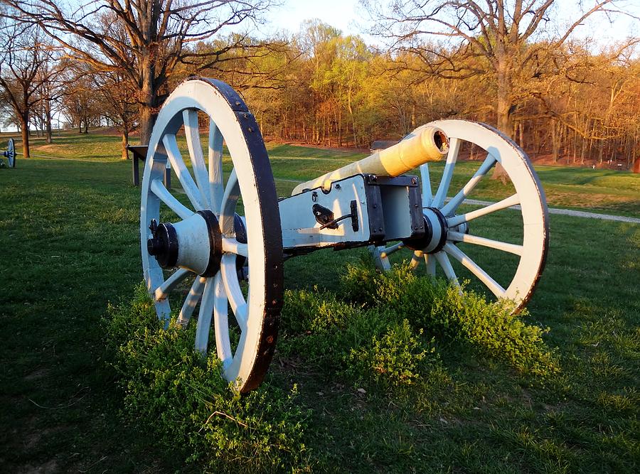 Cannon in the grass Photograph by Michael Porchik