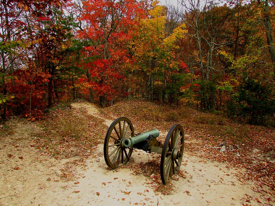 Cannon of Fall Photograph by Kathy Long