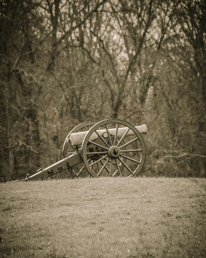 Cannon Sepia Toned Photograph by Bradley Clay