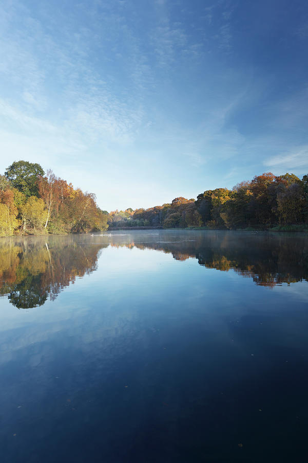 Cannop Ponds In Autumn Photograph by James Osmond