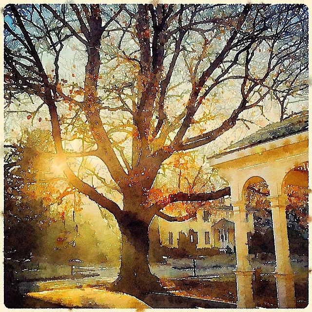 Waterlogue Photograph - Cannot Stop Playing With This by Midlyfemama Kosboth
