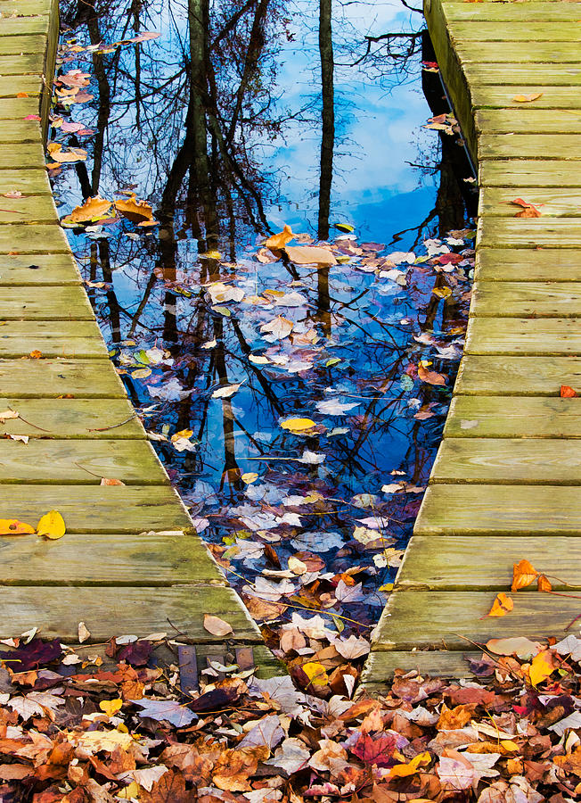 Canoe Dock In Autumn Photograph by Gary Slawsky