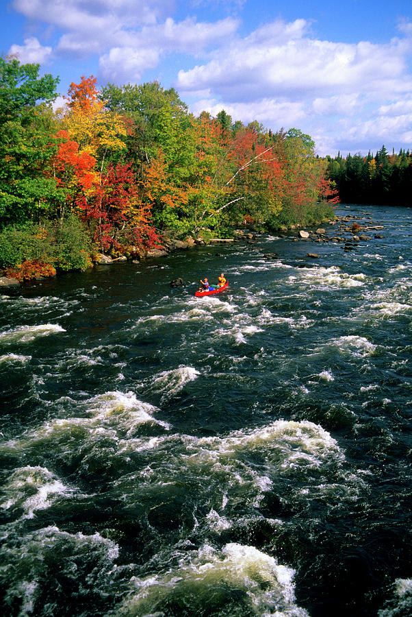 Action Photograph - Canoeists On The Androscoggin River by Stephen Gorman
